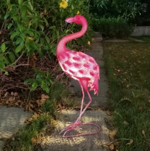Flamant Rose Solaire Lumineux