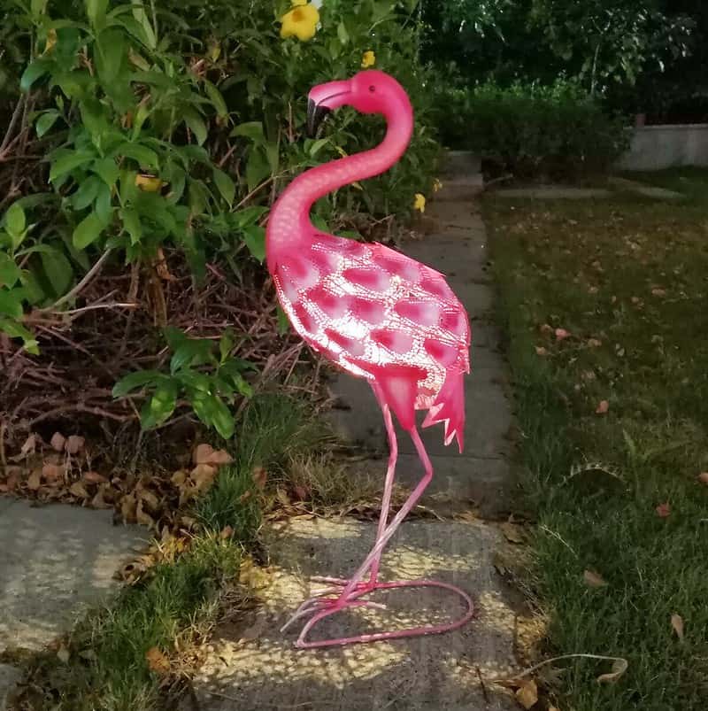 Flamant Rose Solaire Lumineux
