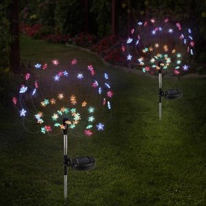 Piquet Solaire Jardin "Feux D'Artifice Étoilé" (2Pcs)