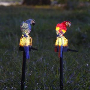 Animaux Solaire "Piquet Perroquet"