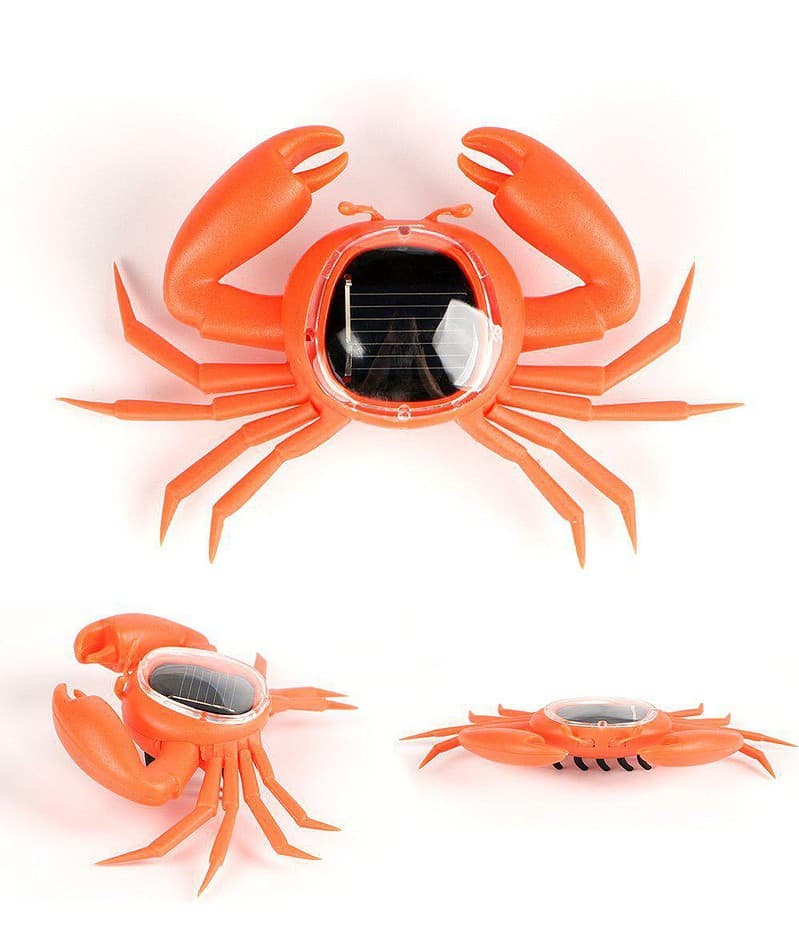 Animaux Solaire Crabe De Mer – Image 2