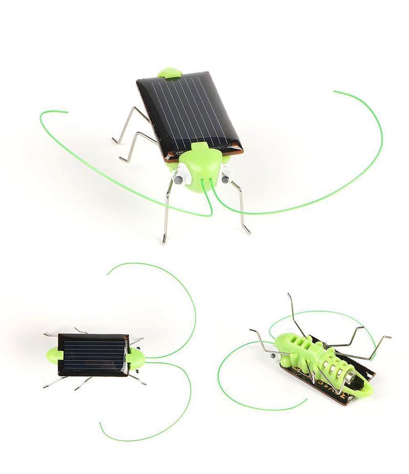 Gadget Solaire Criquets Vert – Image 2