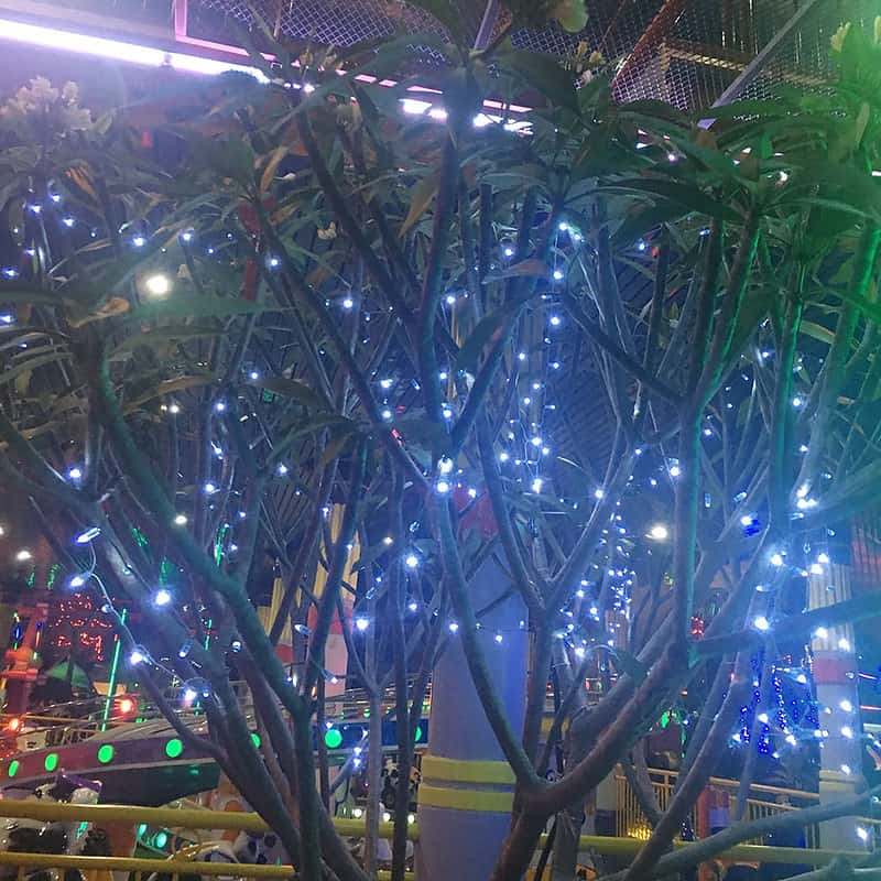 Guirlande Solaire Lumière De Fée Bleue – Image 2