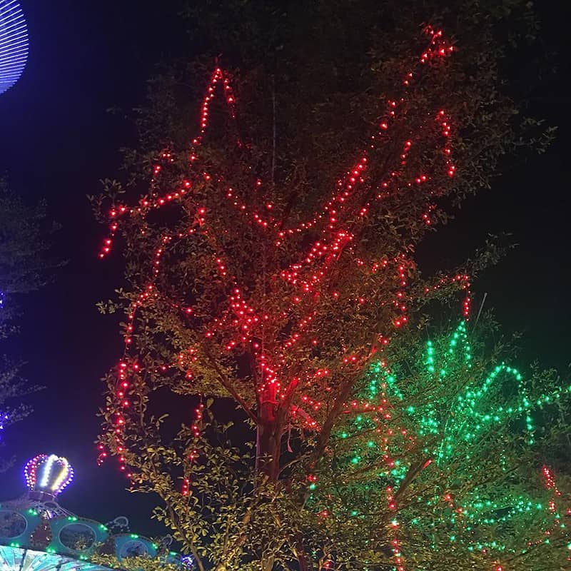 Guirlande Solaire Lumière De Fée Multicolore – Image 3