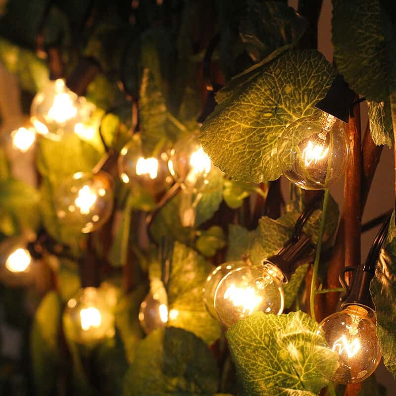 Guirlande Solaire Ampoule Claire Vintage (20Led) – Image 6