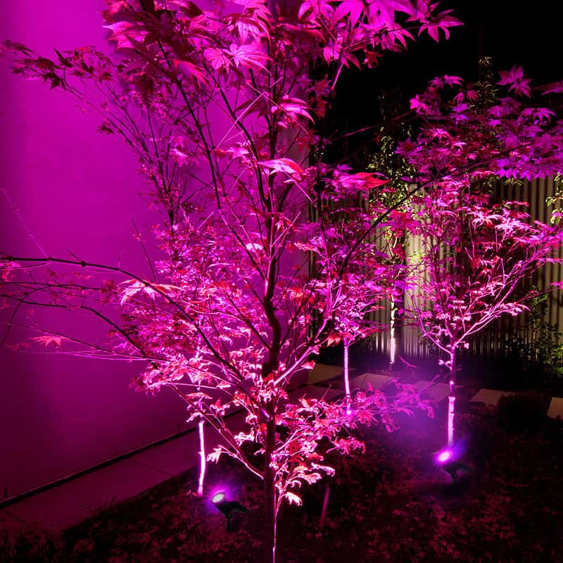 Piquet Solaire Jardin "Spot Lumineux Multicolore" – Image 3