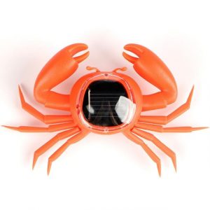 Animaux Solaire Crabe De Mer