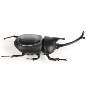 Gadget Solaire Scarabée Noire